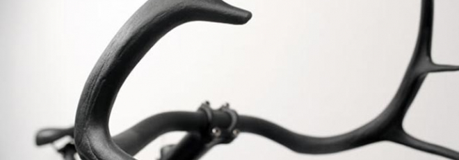 Bicycle antler bars