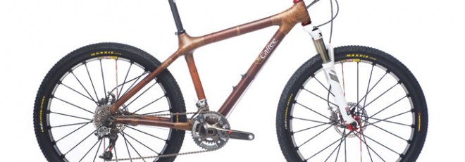 Bamboo bicycle